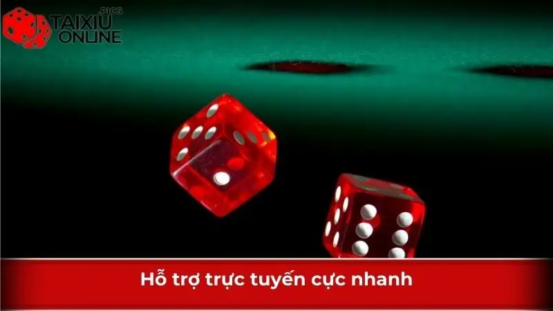 Hỗ trợ trực tuyến cực nhanh